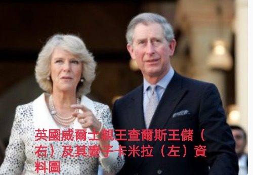 英國王儲查爾斯妻子卡米拉新冠病毒檢測呈陽性