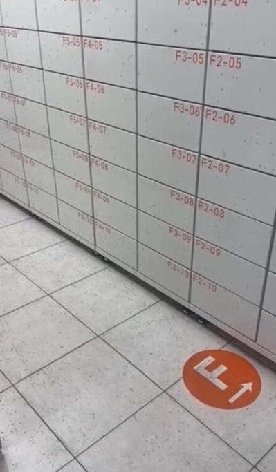 高雄大樹區九大路出現大量蚊子 衛生局採集鑑別為搖蚊、少數為“地下家蚊”無發現“斑蚊”