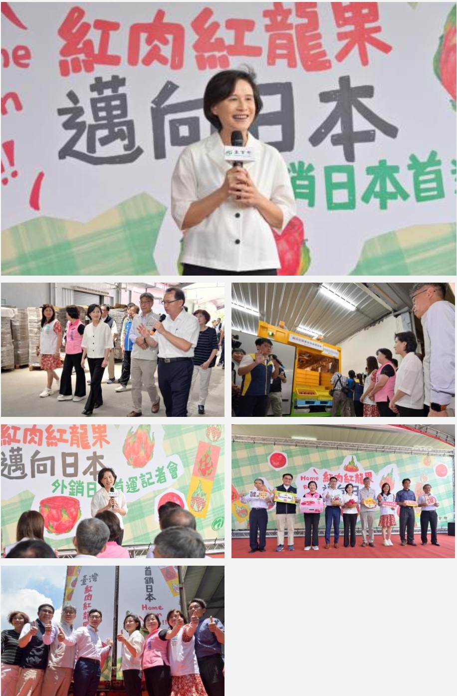 臺灣紅肉火龍果首批外銷日本，歷時八年成功進軍海外市場