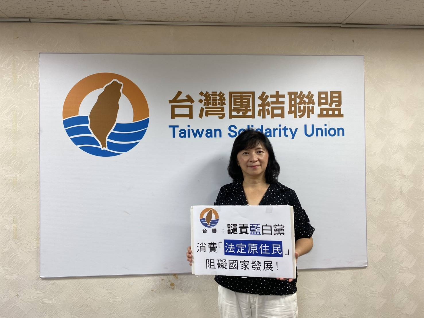 台聯批藍白兩黨以禁伐補償阻撓預算案，指責特權操作