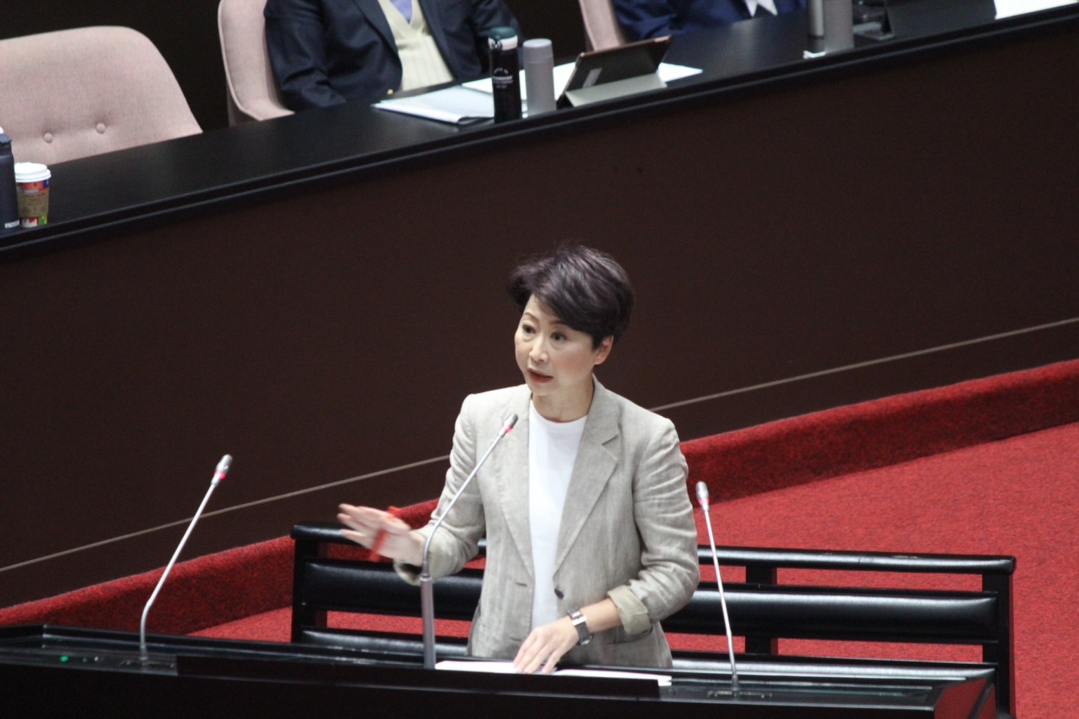 陳亭妃爭取震損廟宇補助 行政院承諾檢討救助方案