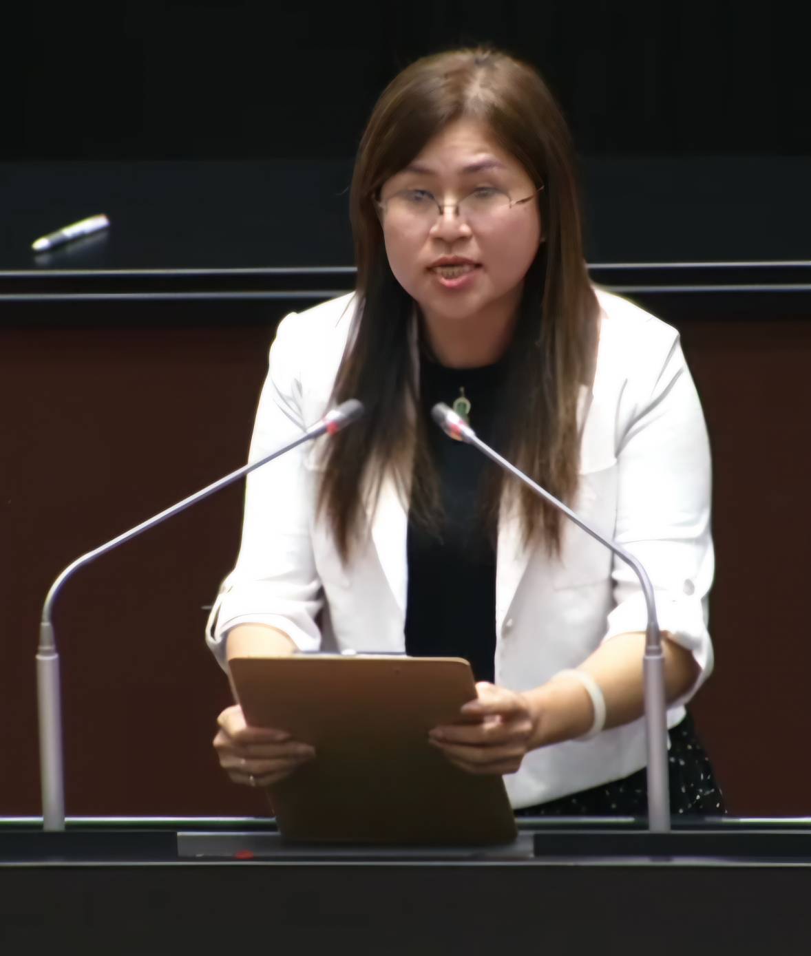 「2028無煤中火」拍板！麥玉珍轟政府食言：別再拿中部人健康開玩笑！