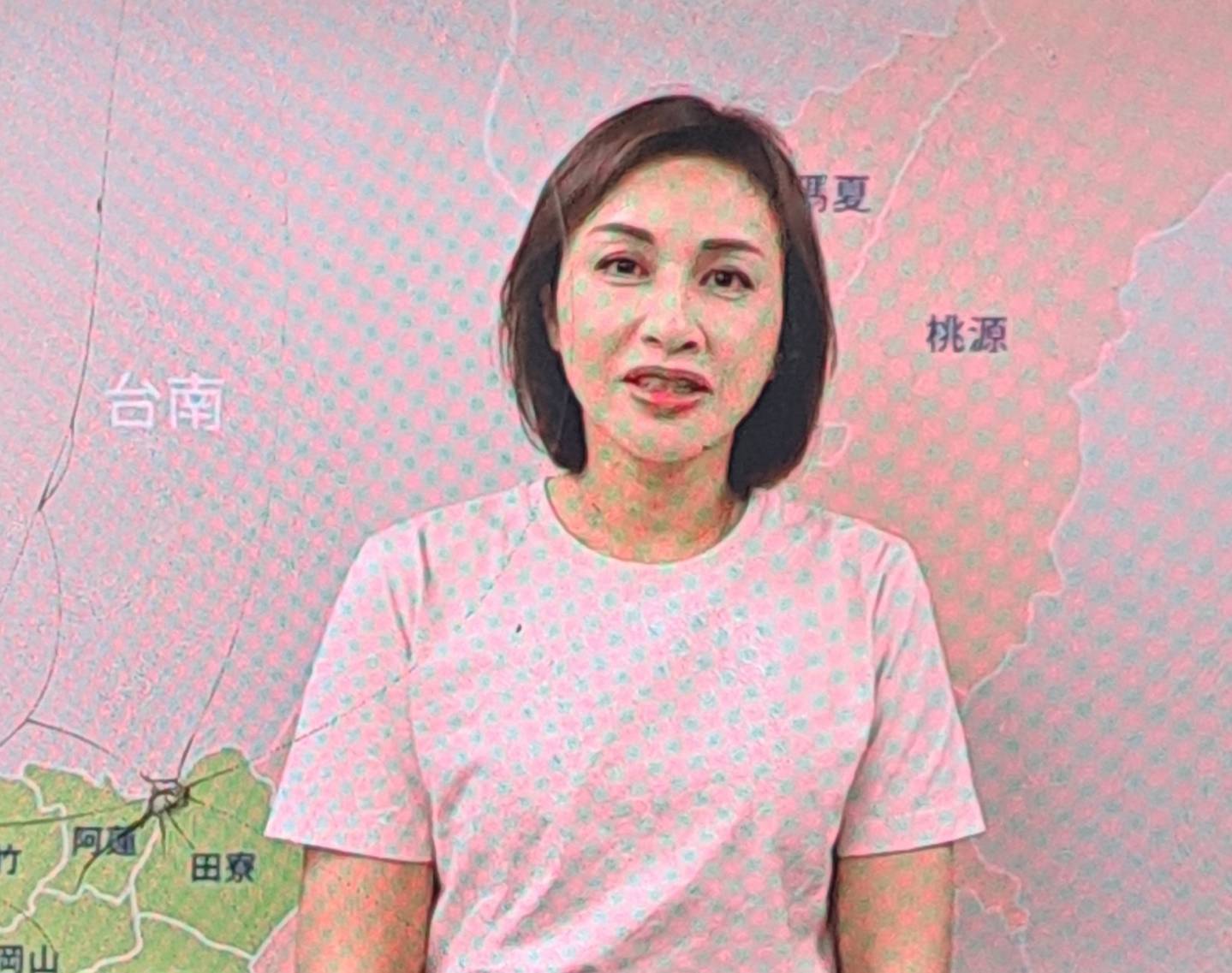 邱議瑩回應民調波動　強調信心與魄力持續爭取支持